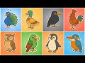 Birds for Kids | Learn Bird Sounds, Names &amp; Cartoons for Kids