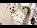 アンちゃん10歳の誕生日です🎂