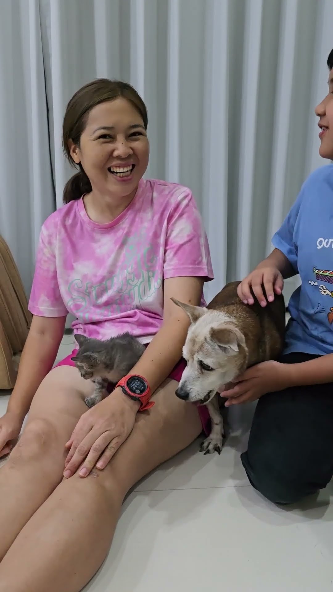 ถังทองอิจฉาโซจู ลูกแมว