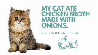 Q) My Cat Ate Onion Broth  Is It Toxic? │ Twin Trees Vet Talk (FREE VET ADVICE PODCAST)