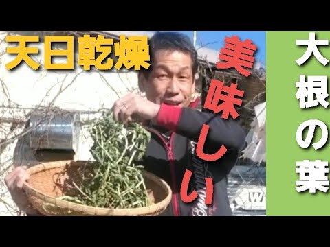 《大根の葉を乾燥【前編】#286》【自然の暮らし/50代vlog】自然栽培/天日乾燥/焙煎/粉砕