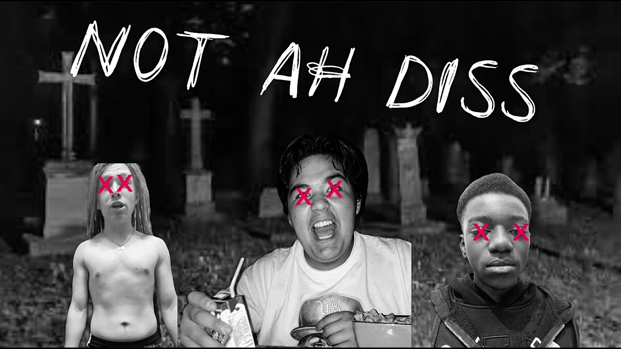 Lilnicklemonkey - NOT AH DISS