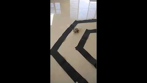 Deep Learning - $100 Autonomous Car using Raspberry PI