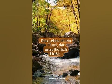 Das Leben ist wie ein Fluss... shorts YouTube