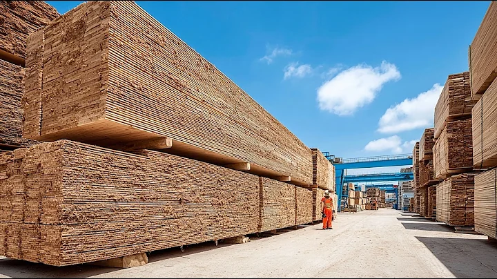 Inside America’s Timber Industry: Logging, Transport, and Milling Explained