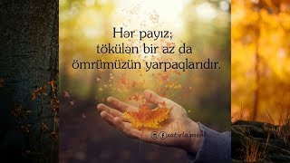 Yazili Sekiller #29 Yazili Sekiller #29
