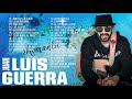 Juan Luis Guerra EXITOS, EXITOS, EXITOS Sus Mejores Canciones - Juan Luis Guerra Mix Nuevo 2022
