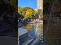 A normal Park in New York USA 🇺🇸 #travel #explore #usa #newyork #newyorkcity #traveling #travelvlog