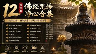 12部经典佛经咒语净心合集：洗涤尘劳，消除焦虑，愿见者增福增慧 #佛经合集 #佛经 #心咒