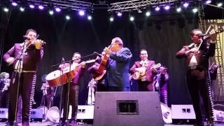 Video thumbnail of "Mariachi Vargas De Tecalitlán - El Cascabel"