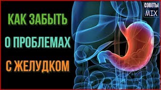 Топ 10 продуктов с которыми Вы забудете о проблемах с желудком Топ 10 продуктов с которыми Вы забудете о проблемах с желудком