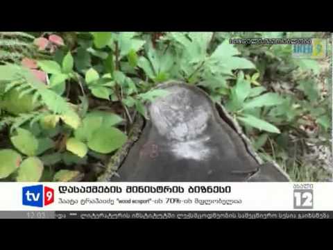 ახალი 12 | დასაქმ.მინისტრის ბიზნესი | 24.08.12