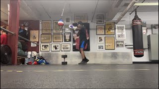 A Day In the Boxing Gym | Shadow Boxing, Heavy Bag And Mitts