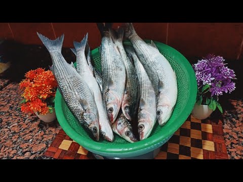 سر فسيخ الشتاء المزبد السايح بكل خطواته غسيله ولفه ومدة التمليح من مطبخ نعومتى