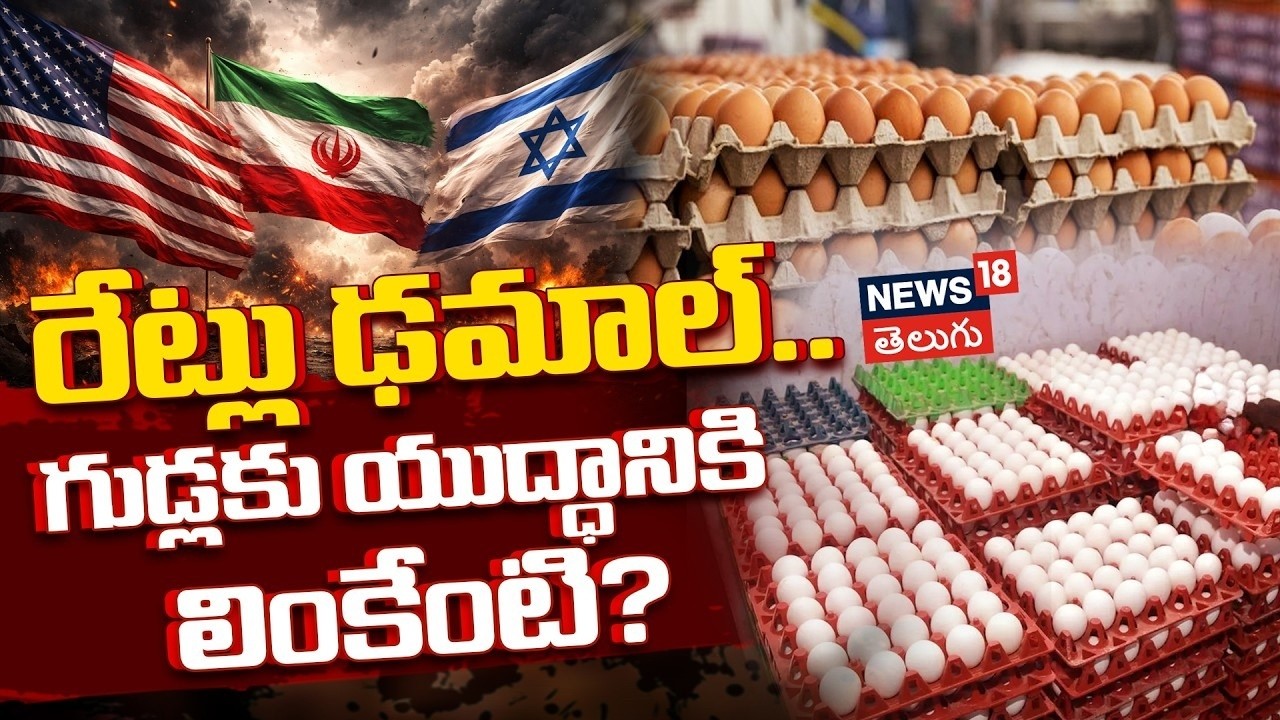 🔴LIVE: How Global War Is Impacting Poultry Markets? |గుడ్లకు యుద్ధానికి లింకేంటి? Eggs Rate | N18G