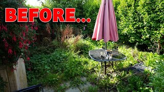 Giving This Forgotten Garden A Second Chance – Part 3