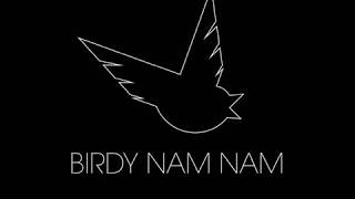 Birdy Nam Nam Live 2016 [FULL]