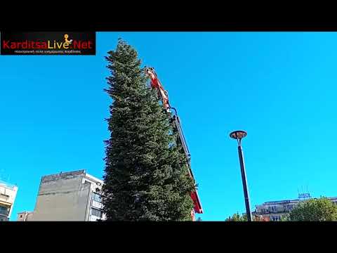 Βίντεο: Χριστουγεννιάτικα δέντρα στην περιοχή του Μέμφις