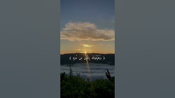 تلاوة من سورة الزمر | عبدالعزيز التركي | #quran #youtube #reels #edit #قرآن