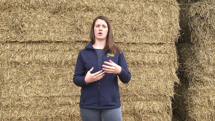 Speaker Event Insight  Fern Pearston  Breeding for...