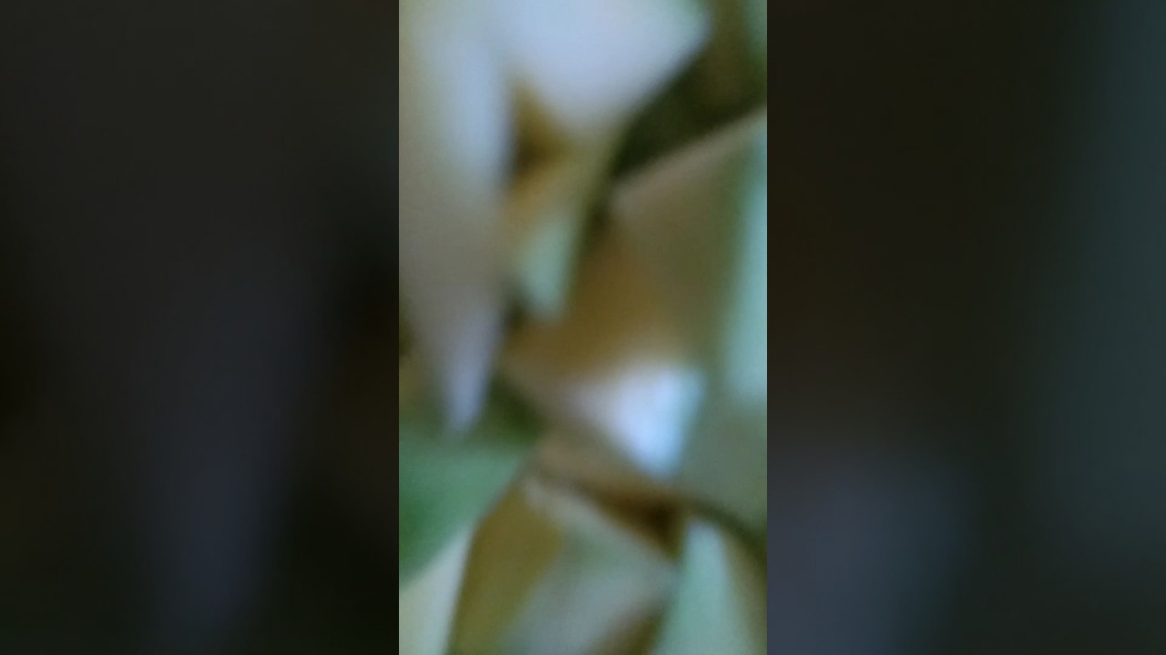 നാടൻ ഭക്ഷണം 😍