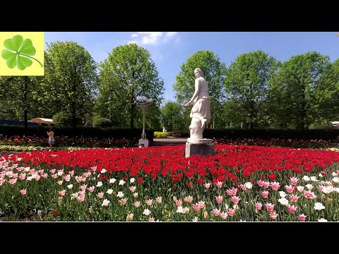 Video: Wat Om Te Doen In Gorky Park