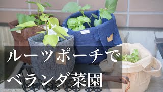 ルーツポーチでベランダ菜園