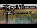 #28【嵐山VLOG2】京都嵯峨野 / 竹林の小径 / 大覚寺 / 大沢池 / 旧嵯峨御所