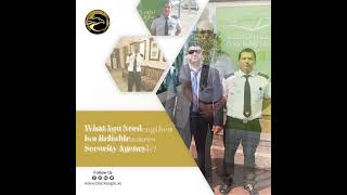 Black Eagle Security Services (Grade B, Bouncers, Patrolling, Supervisor, CCTV Operator, etc.)