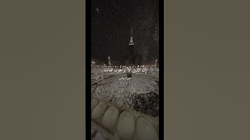 تلاوة رائعة للشيخ علي جابر ارح سمعك .