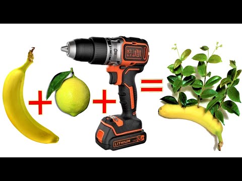 drill a banana and add it to a lemon and see what happens. the result will surprise you