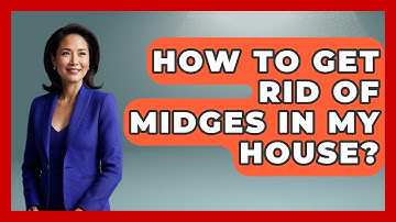 How To Get Rid Of Midges In My House? - Insects and Invaders