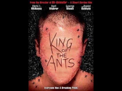 Locked In The Asylum: King of the Ants