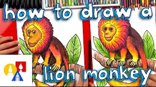 How To Draw A Golden Lion Monkey