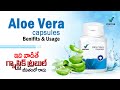 Vestige aloe vera benifits telugu  aloe vera benefits  vestige aloe vera teugu  vestigealoevera