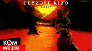 Feyzoyê Rizo - Delaliyê  Resimi