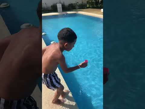 Abelha na piscina