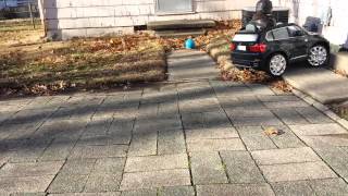 20141225 Christmas 2014 -2