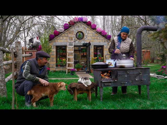 Cooking Village Style Chicken Paella with Fresh Garlic class=