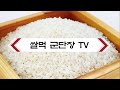 60만 유튜버가 추천한 ㄹㅇ 찐 앱테크 어플