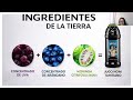 Noni: Beneficios Reales y Testimonios | Blanca Lucero Partner.Co