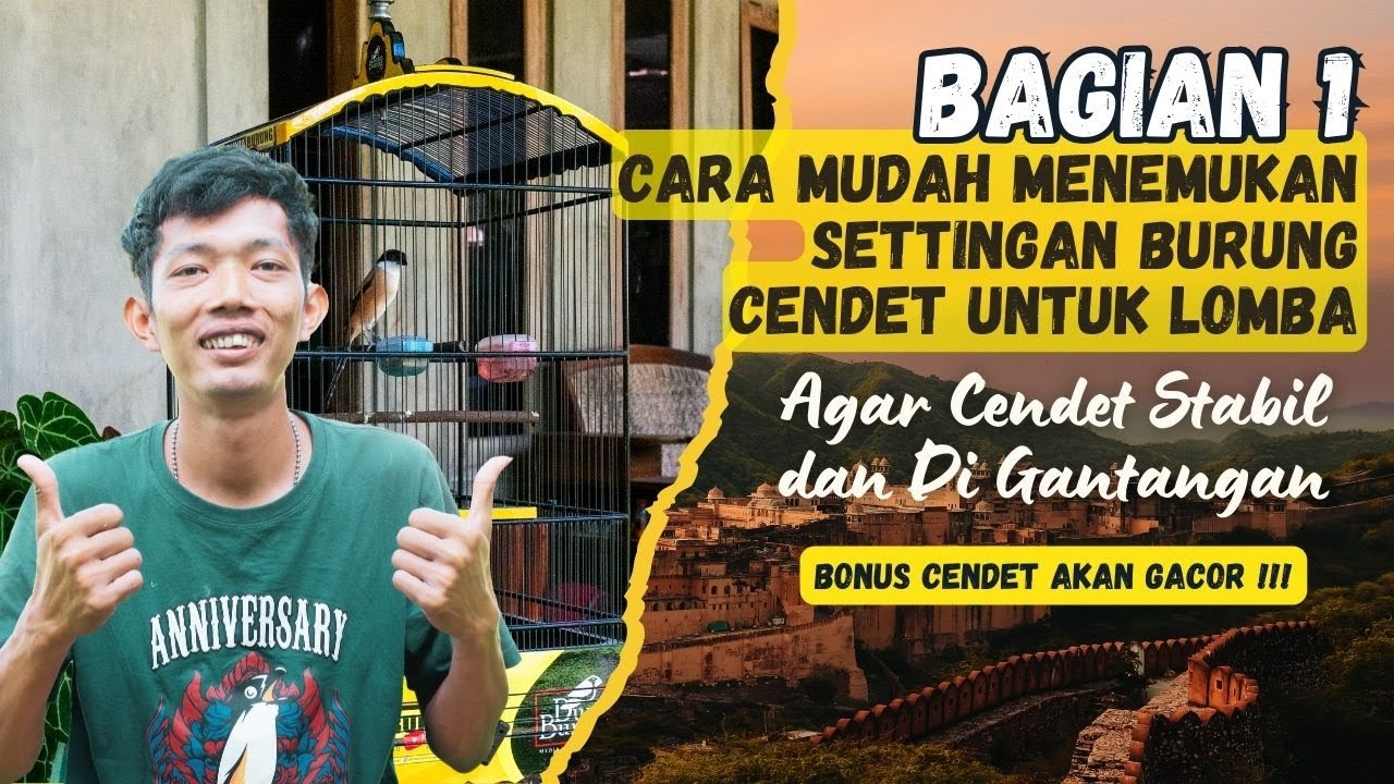 Cara Membuat Burung Tampil Stabil di Gantangan dengan Mudah Cara Membuat Burung Tampil Stabil di Gantangan dengan Mudah