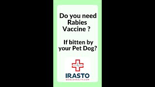 Do you need rabies vaccine if your pet dog bites you? #shorts #worldrabiesday