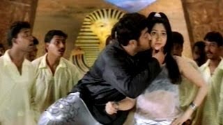 Simhadri Movie || Cheema Cheema Video Song || Jr NTR || Bhoomika Chawla || Ankitha
