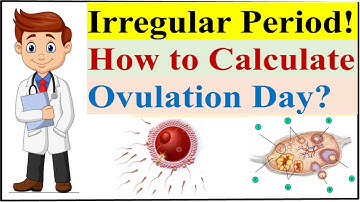How to Calculate Ovulation Day in Irregular Periods? Fertile Day with Irregular Period. Ovulation