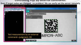 FQ2 2DCR setting CURSO