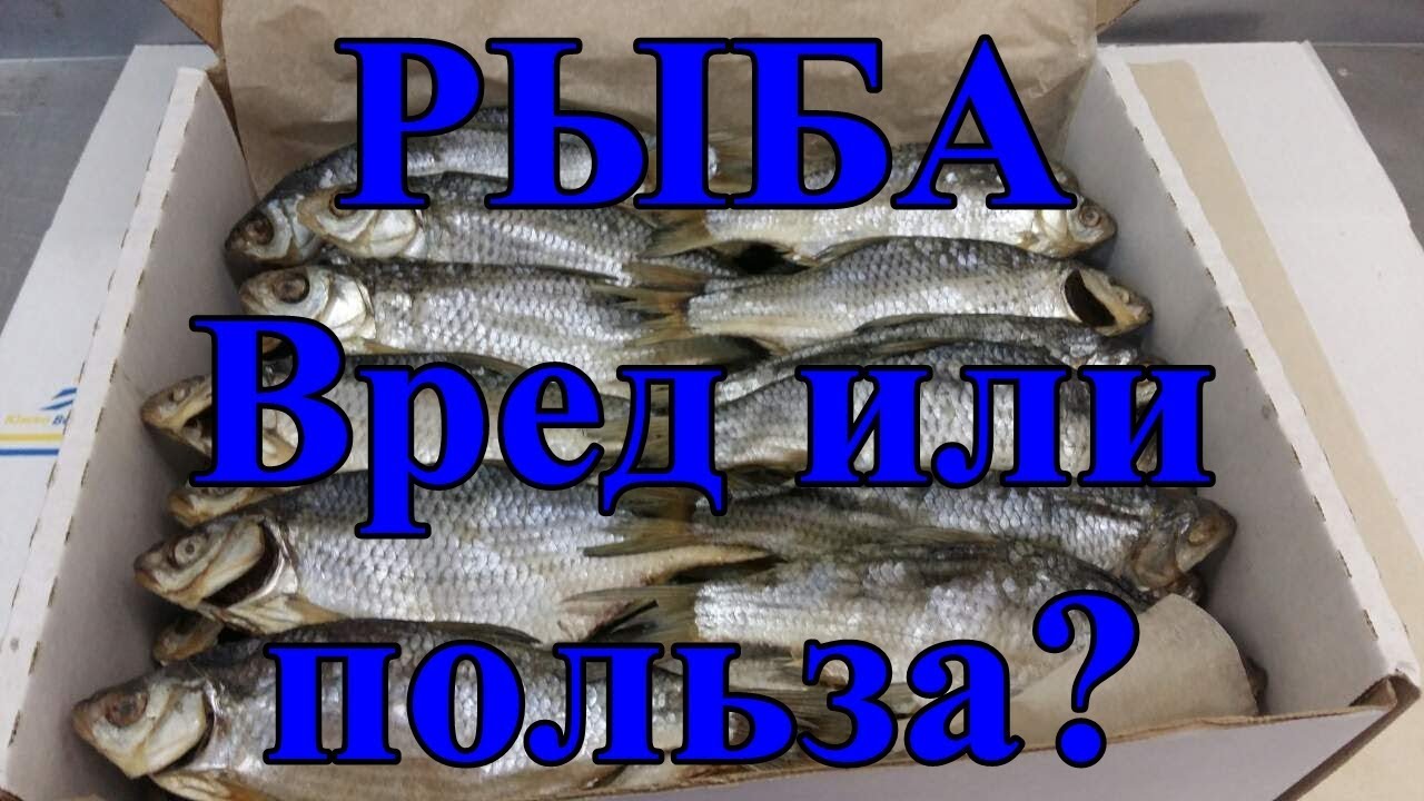 Какая рыба вредна