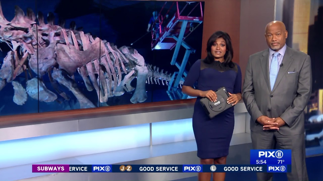 Dino cleaning aircheck