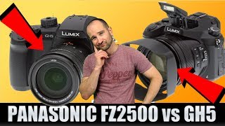 Panasonic Lumix FZ2500/FZ2000 vs Panasonic GH5