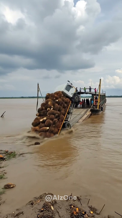 Kelebihan Muatan! Truk Sawit Nyemplung ke Sungai (Simulasi Ai)
